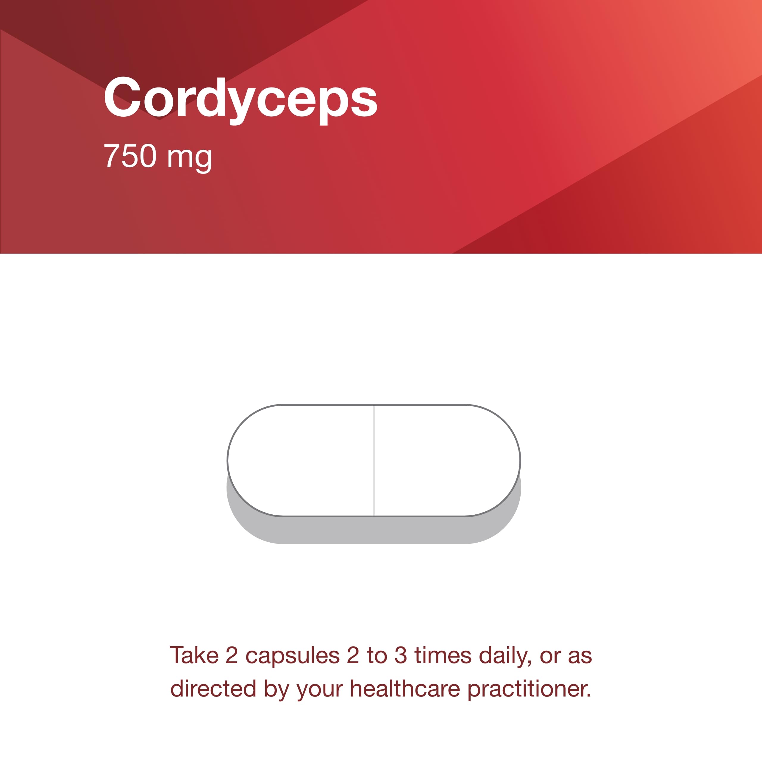 Protocol Cordyceps 750mg – Immune Support & Vascular Health | Non-GMO | 90 Veg Caps