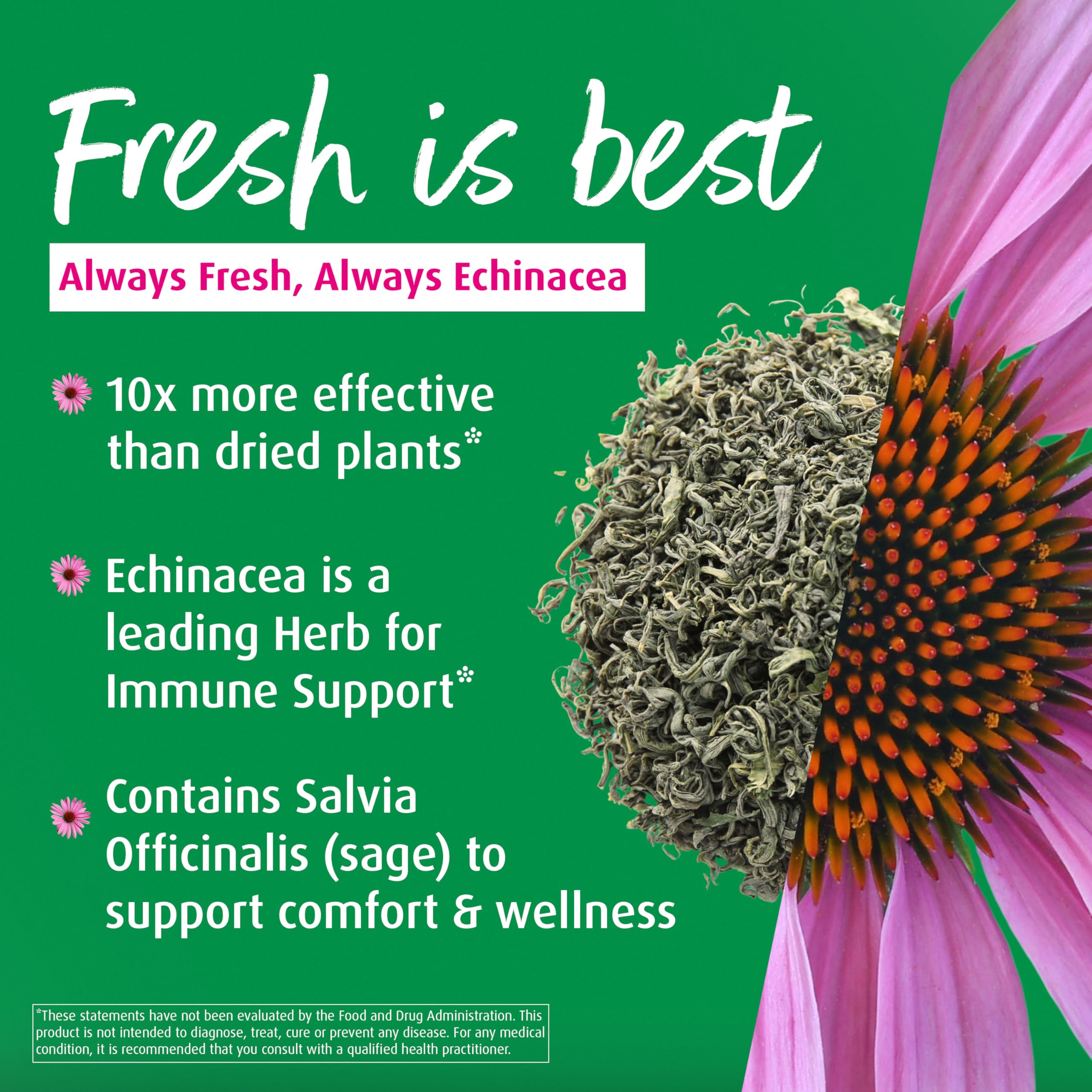 A. Vogel Echinaforce Throat Spray – Organic Echinacea & Sage, Immune Support, 1 fl oz
