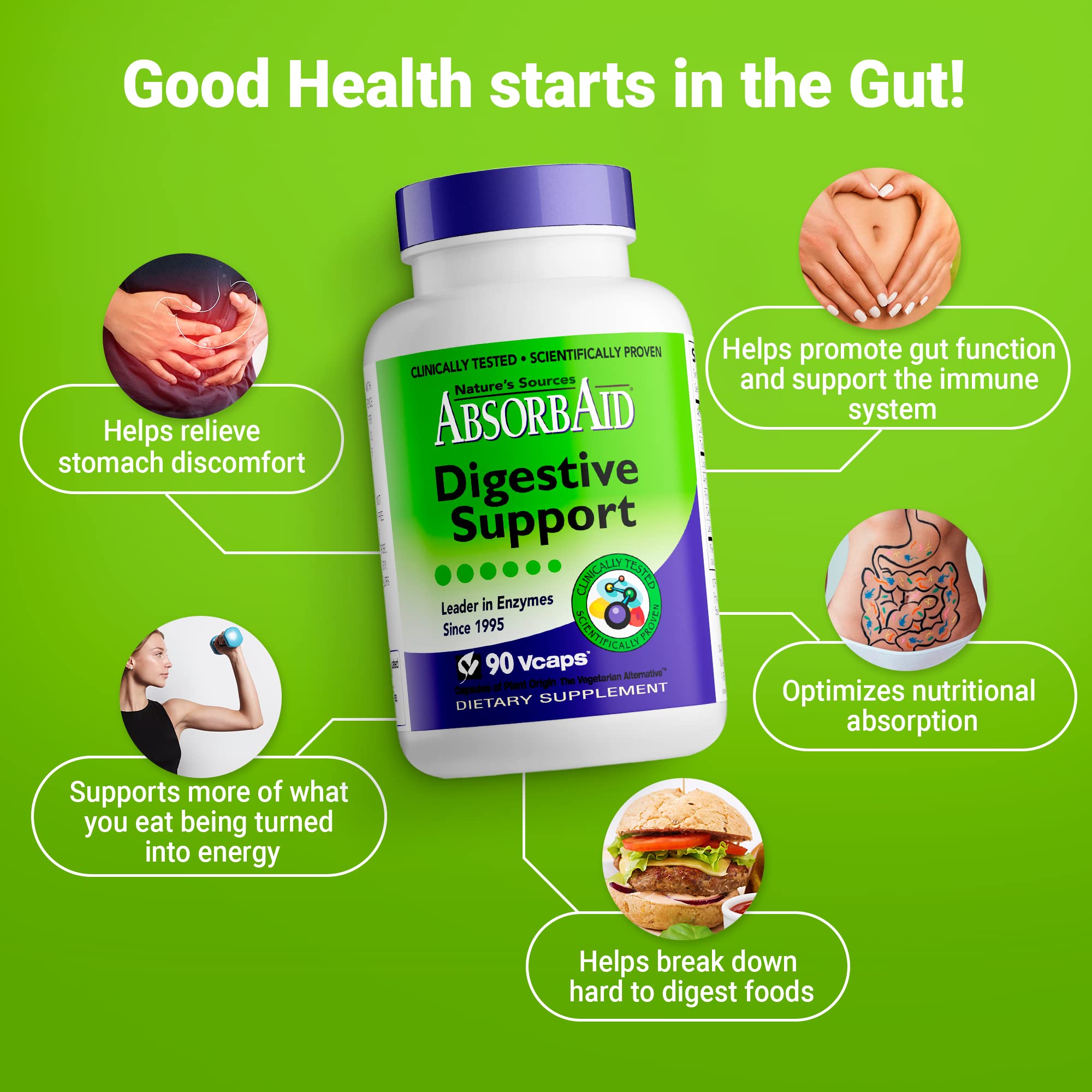 Nature's Sources AbsorbAid Digestive Support - 90 Vcaps