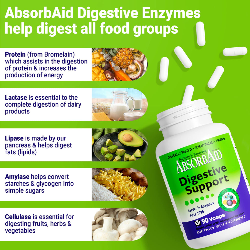 Nature's Sources AbsorbAid Digestive Support - 90 Vcaps