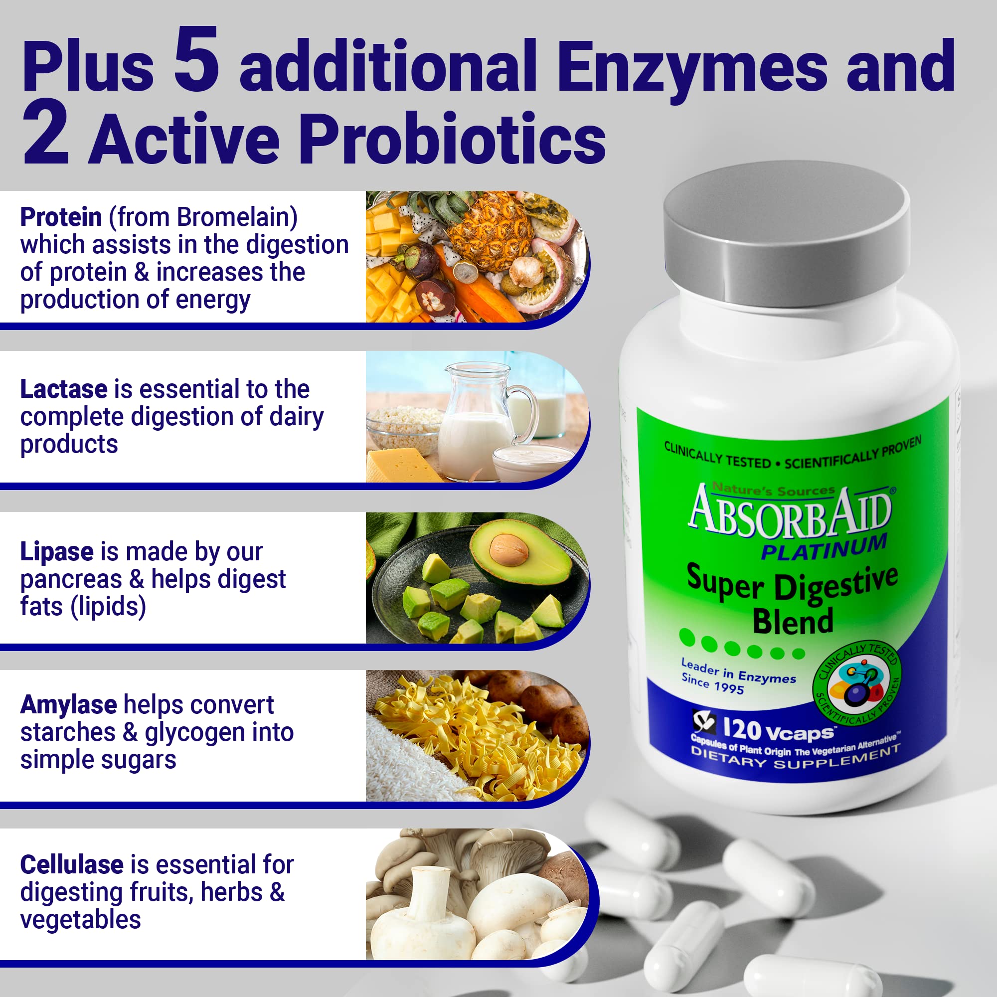 AbsorbAid Platinum Digestive Enzyme Support – 120 vCaps, 12 Enzymes + 2 Probiotics
