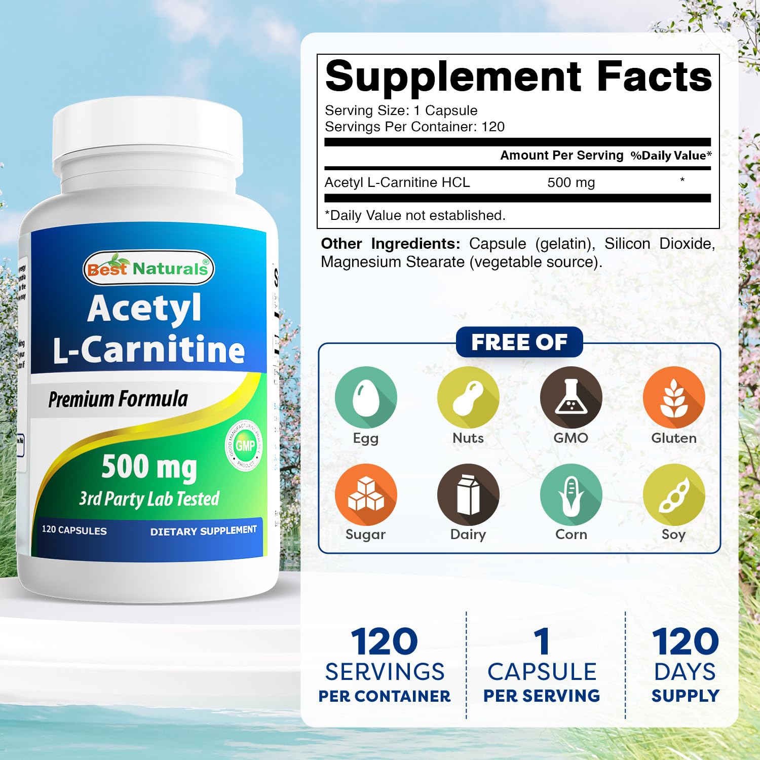 Best Naturals Acetyl L-Carnitine 500mg – 120 Servings (3 Pack) | Non-GMO & Gluten Free