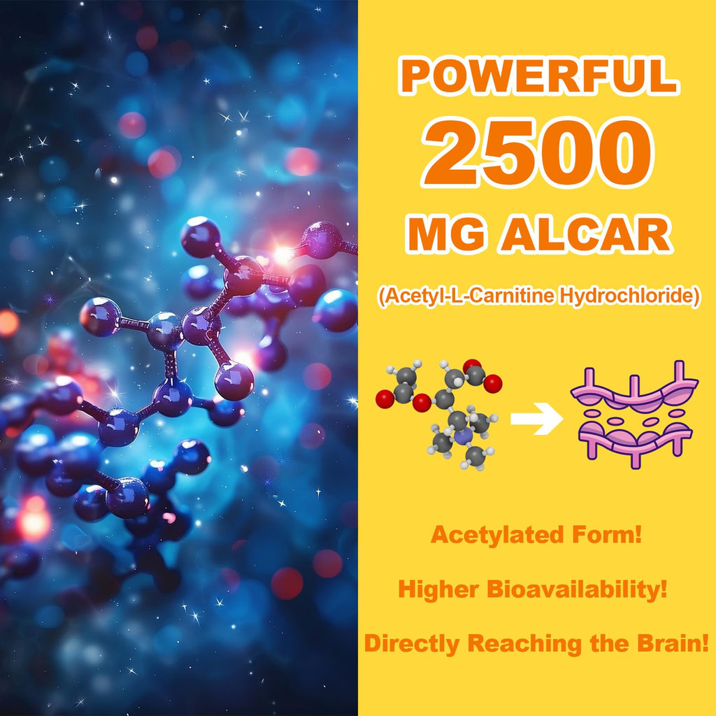 2 Pack Acetyl L-Carnitine Gummies Sugar Free - Premium L-Carnitine Supplement for Energy, Focus & Brain Support | 120 Count