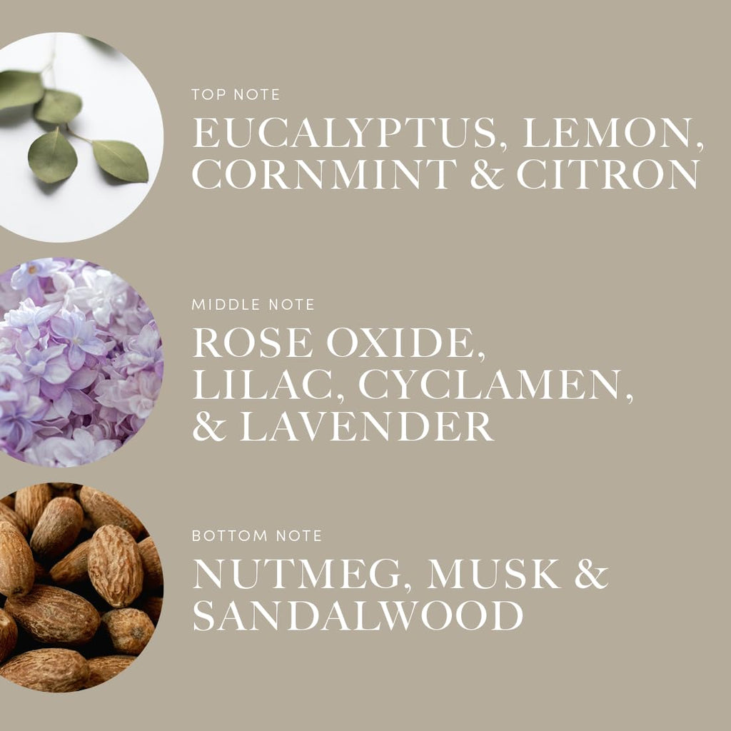Across The Universe 120 mL - Luxury Home Fragrance Oil | Eucalyptus, Citrus & Florals