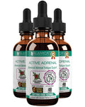 Rejuvica Health Active Adrenal - Advanced Adrenal Support Tincture - Liquid for Easy Absorption