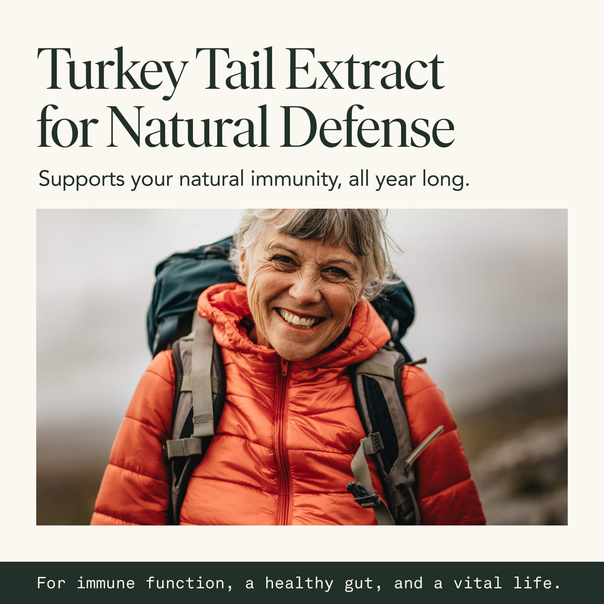 Organic Turkey Tail Mushroom Capsules – Immune & Gut Health (120 Caps, Vegan)