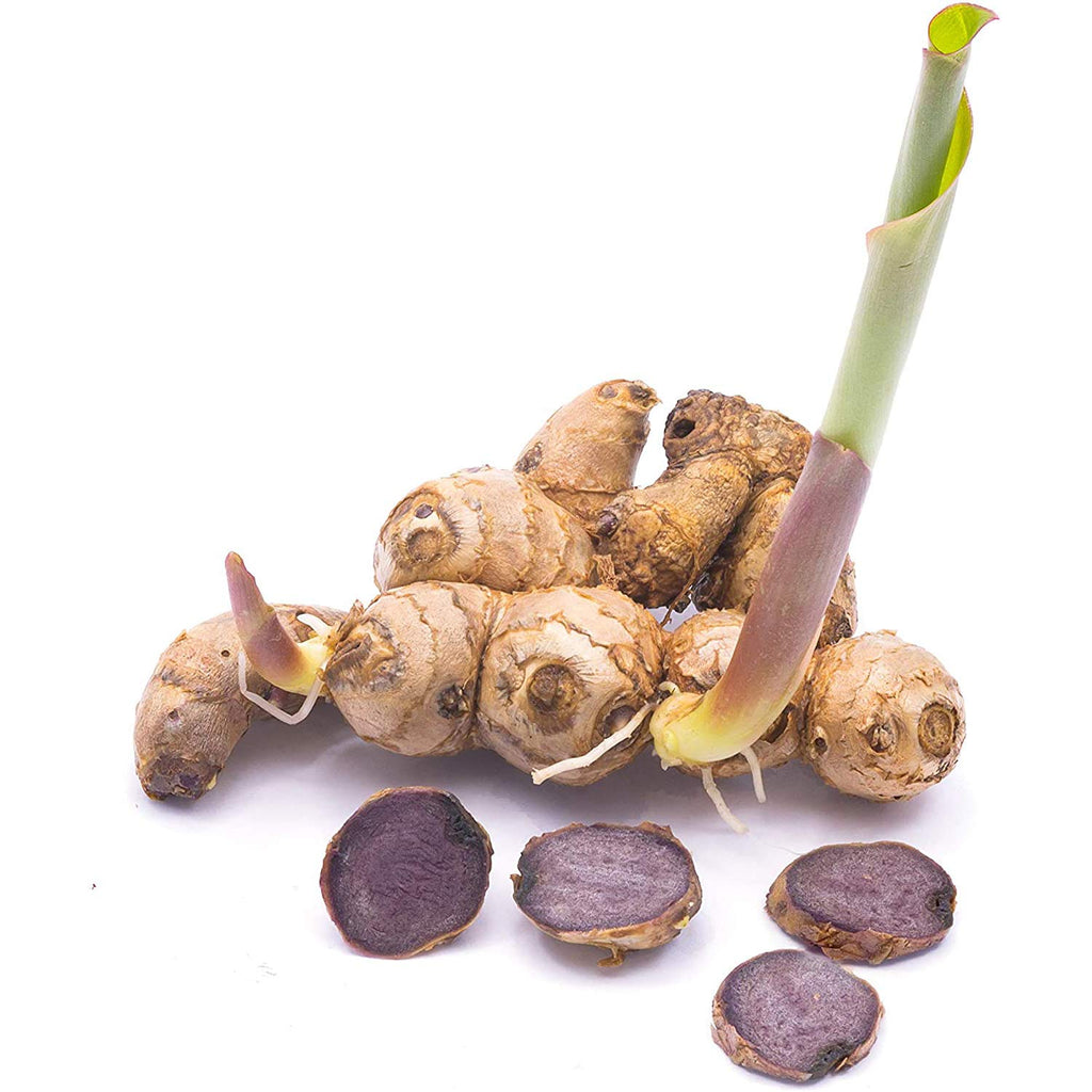Addictive Wellness Black Ginger Capsules 450mg — Energy, Endurance & Metabolism