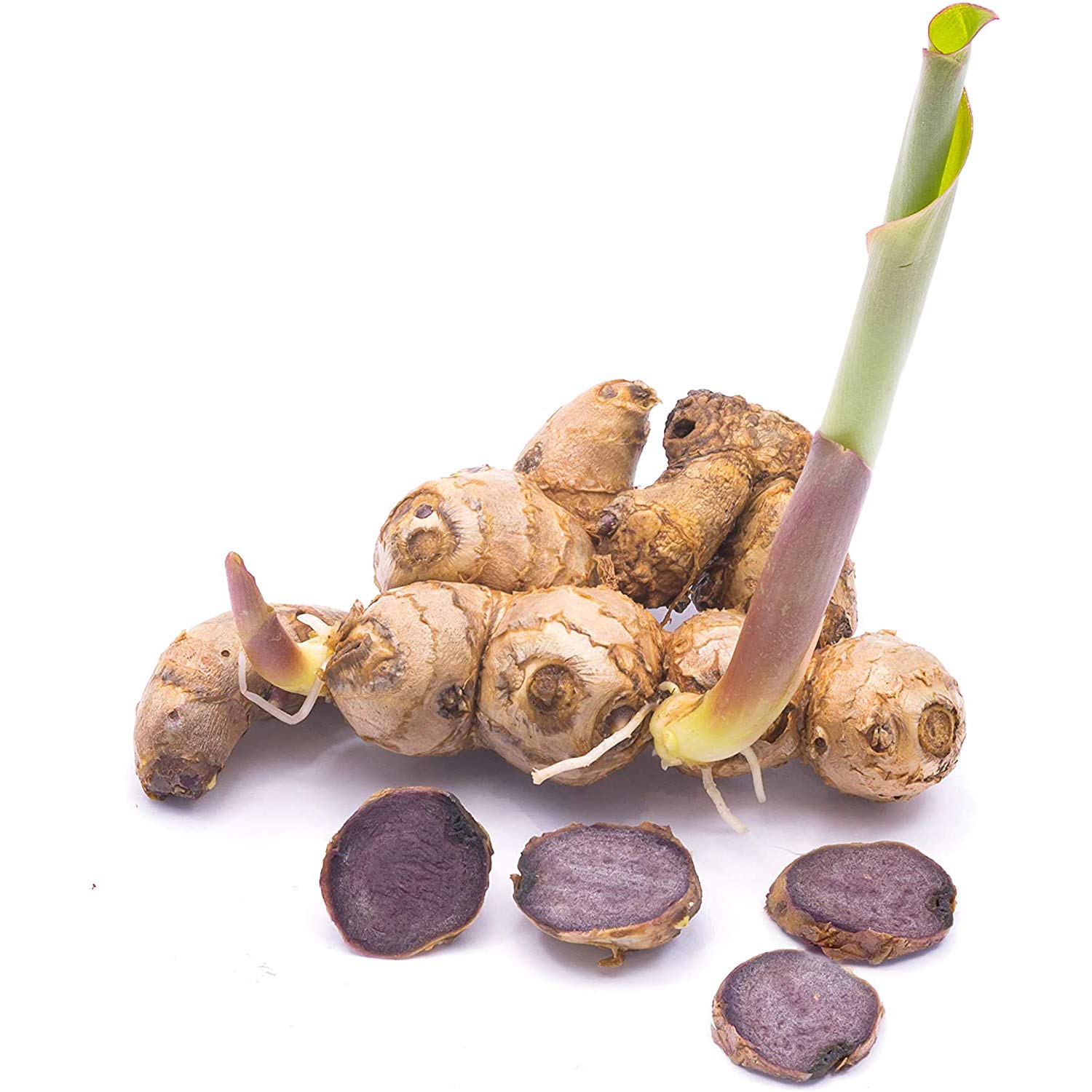 Addictive Wellness Black Ginger Capsules 450mg — Energy, Endurance & Metabolism