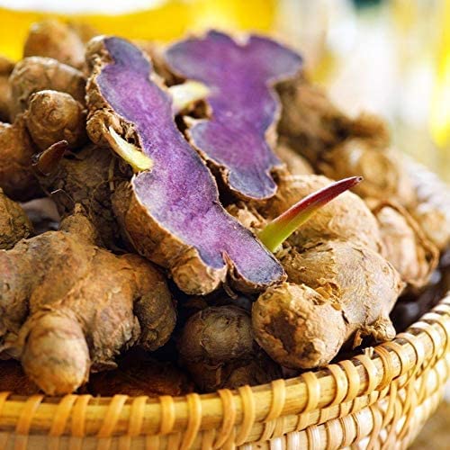 Addictive Wellness Black Ginger Capsules 450mg — Energy, Endurance & Metabolism