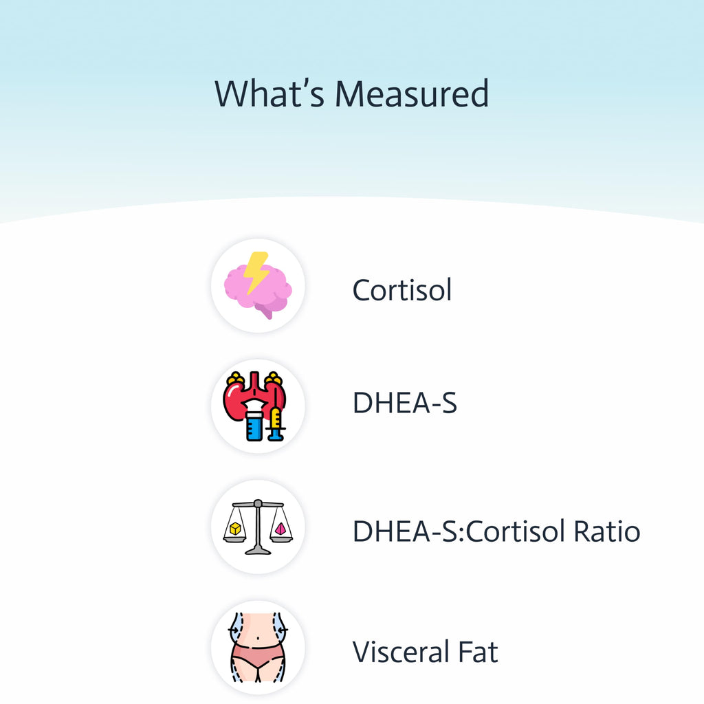 4-in-1 Cortisol & DHEA-S Adrenal Health Test | Sleep & Stress | Visceral Fat | CAP & CLIA Lab | Not Available in NY & RI
