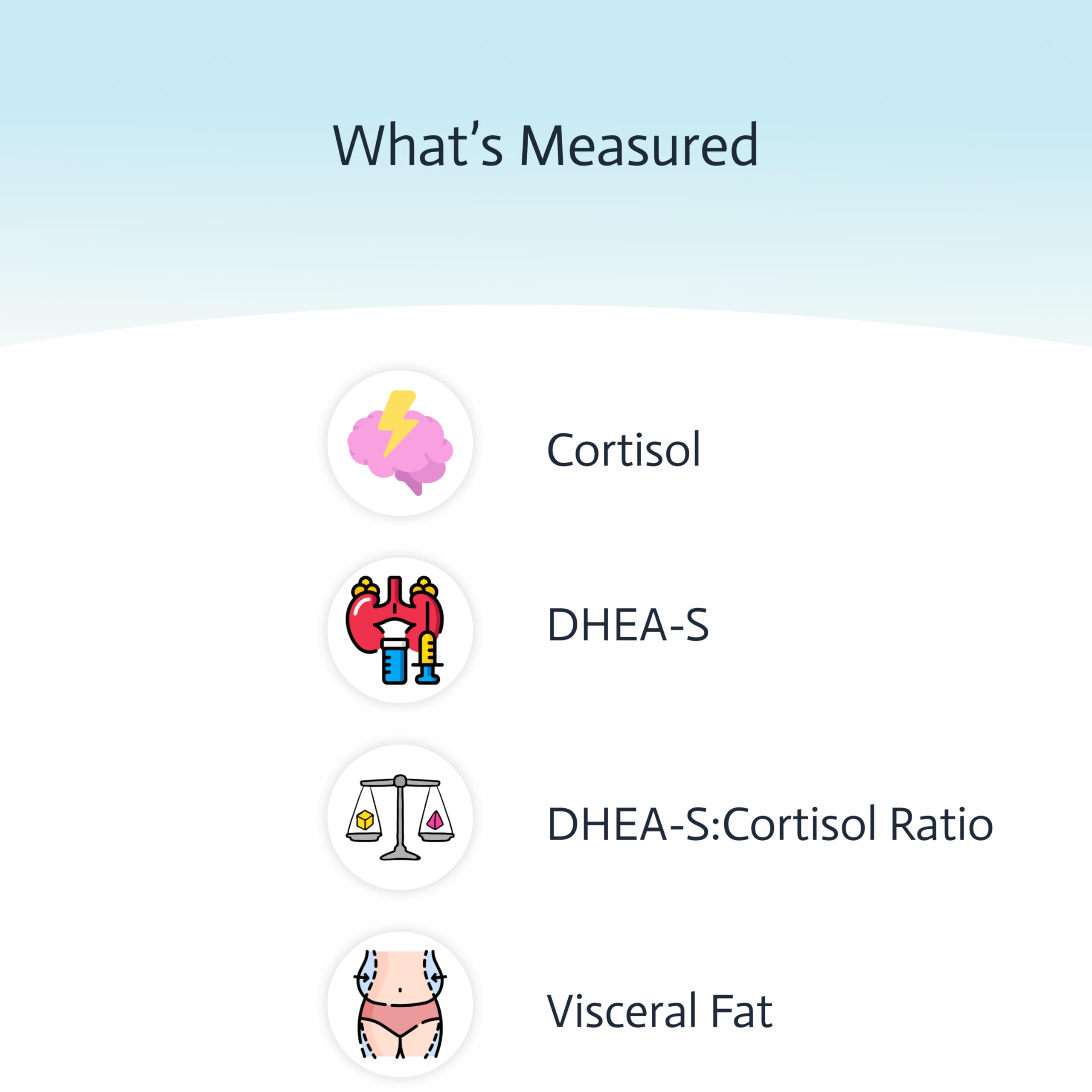4-in-1 Cortisol & DHEA-S Adrenal Health Test | Sleep & Stress | Visceral Fat | CAP & CLIA Lab | Not Available in NY & RI