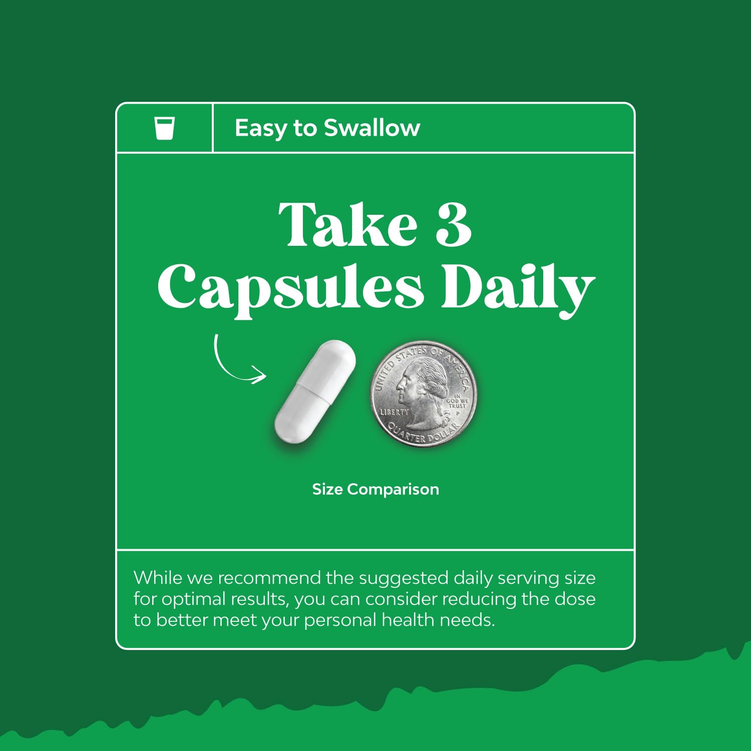 Ox Bile Salts for Gallbladder Support | Digestive Enzymes & Betaine HCL