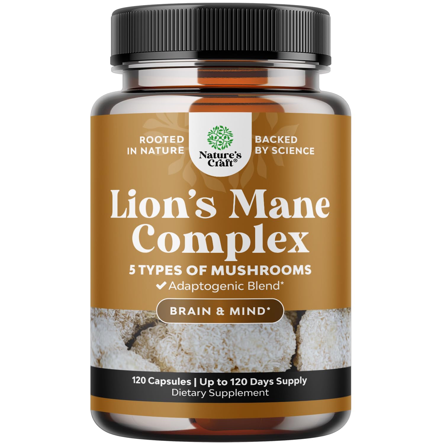 Advanced Lion's Mane Mushroom Supplement - Brain Health & Focus - 120 Caps
