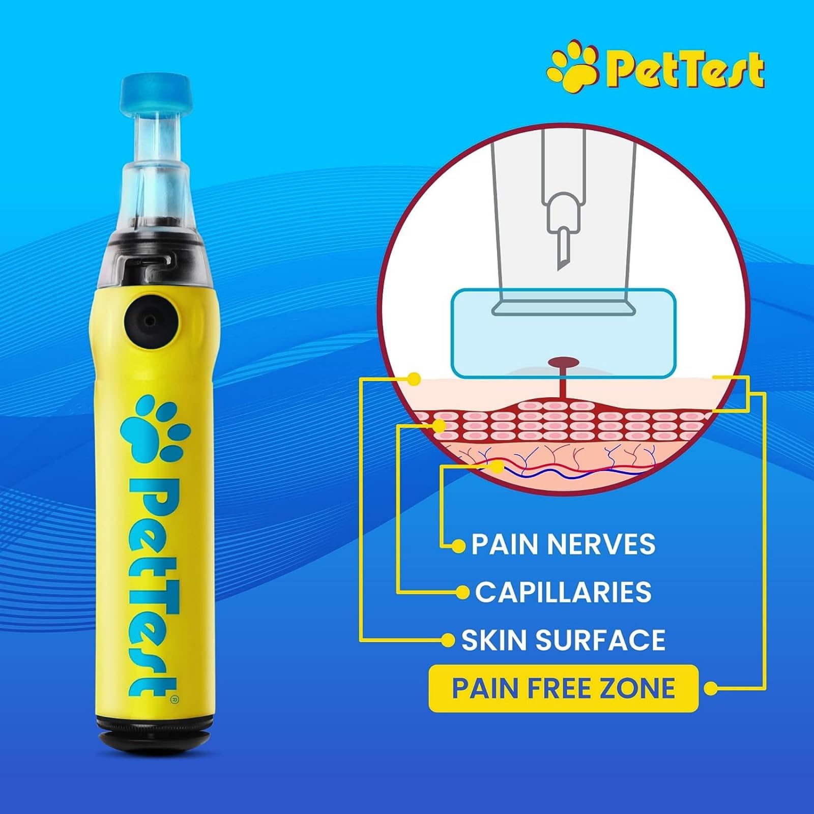 PetTest Painless Glucose Monitoring Kit for Dogs & Cats | Wireless PetLink+ Meter