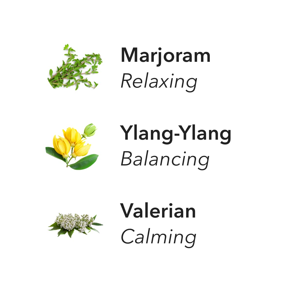 Aera Bliss Essential Oil Aromatherapy Scent Refill – Marjoram, Ylang-Ylang & Valerian | Works with Aera Diffuser