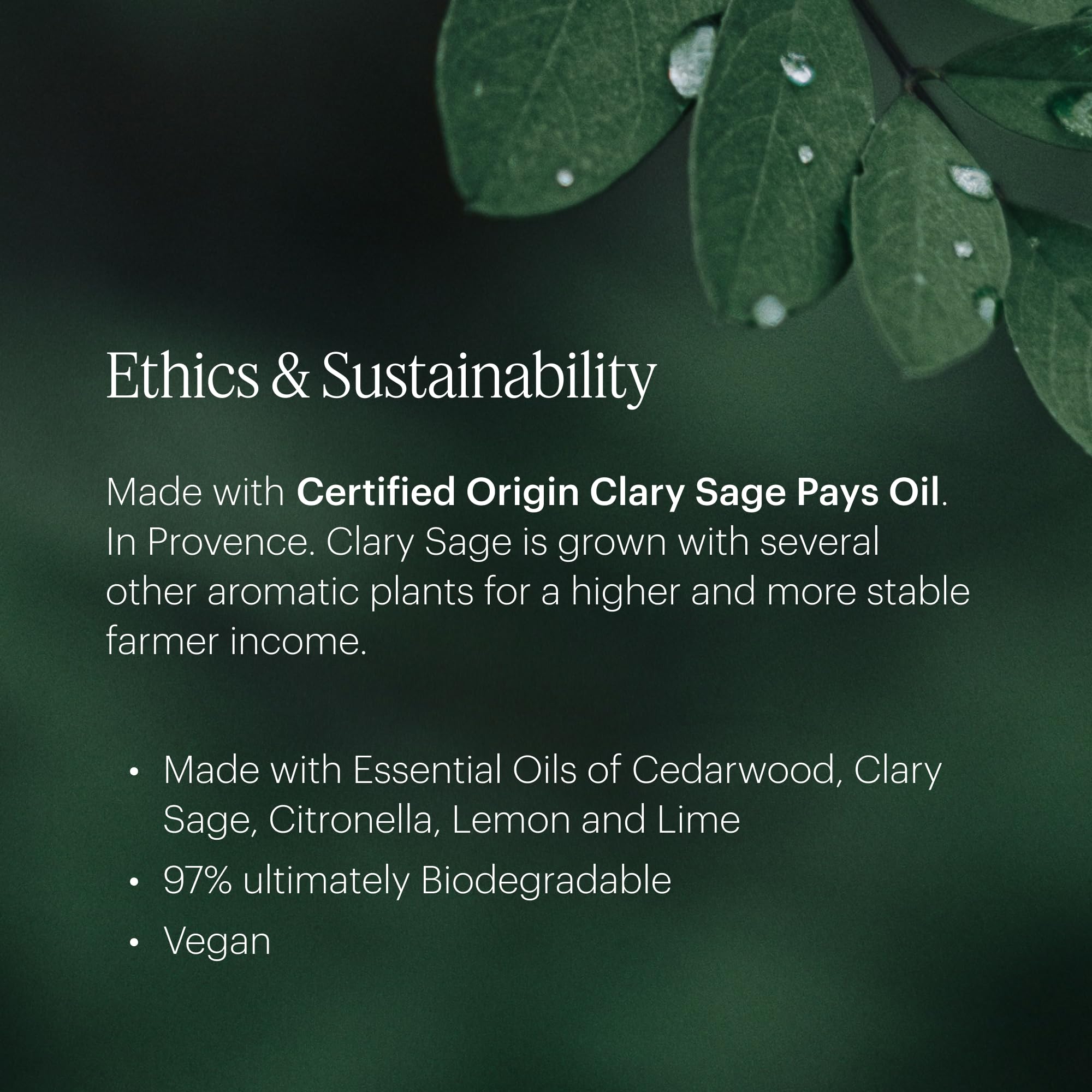 Aera Citrus & Sage Refill for Diffusers | Lemon, Lime & Geranium Notes