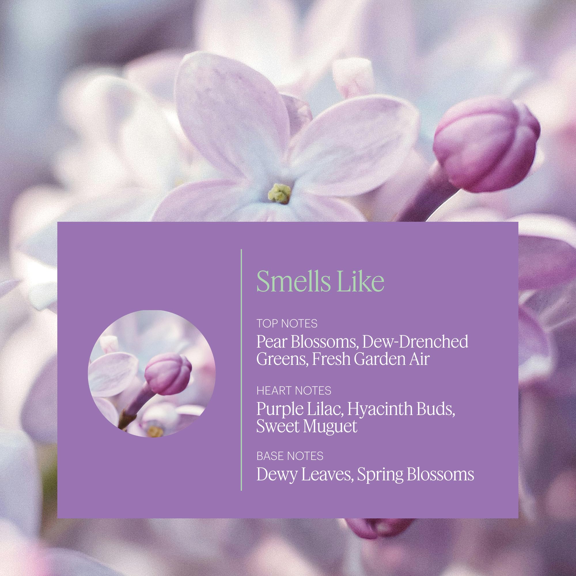 Aera Mini Lilac Daydream – Lilac Fragrance Capsule for Mini Diffuser