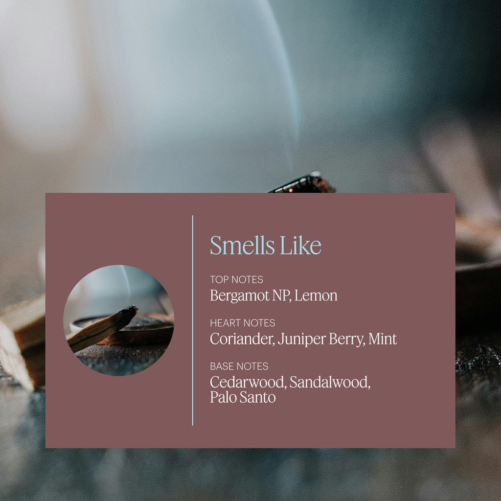 Aera Mini Palo Santo - Purifying Home Fragrance Refill for Mini Diffuser
