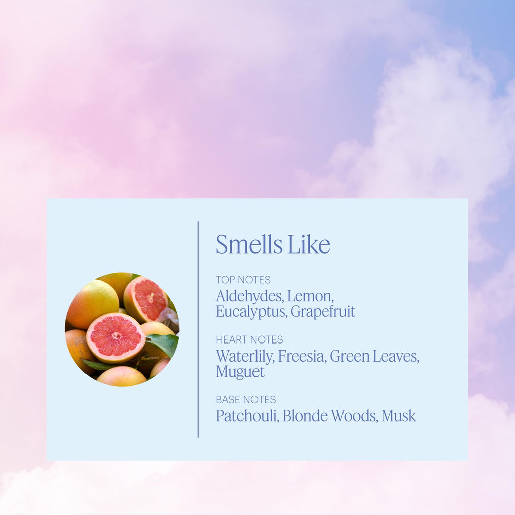 Aera Rainbow Mist Deodorizing Home Fragrance Refill for Aera Mini Diffuser – Fresh Air & Citrus