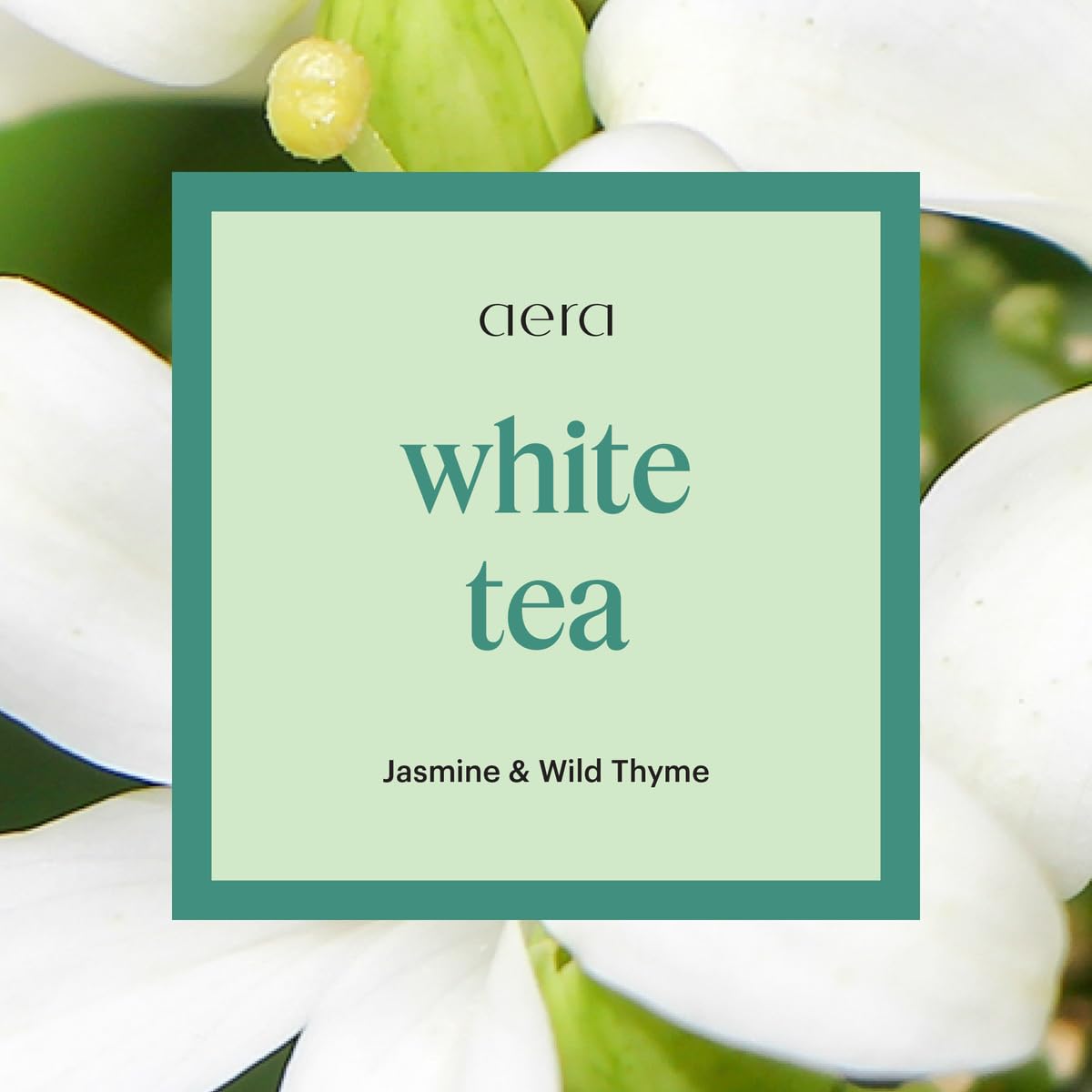 Aera Essential Oil Diffuser + White Tea Bundle for Large Rooms (500-1000 sq ft) - Alexa & App Control