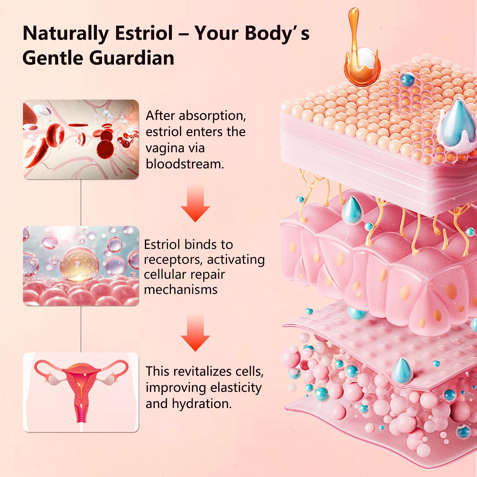 Aeryea Natural Bioidentical Estriol Cream for Women — Menopause Support, 1 fl oz (2 Month Supply)
