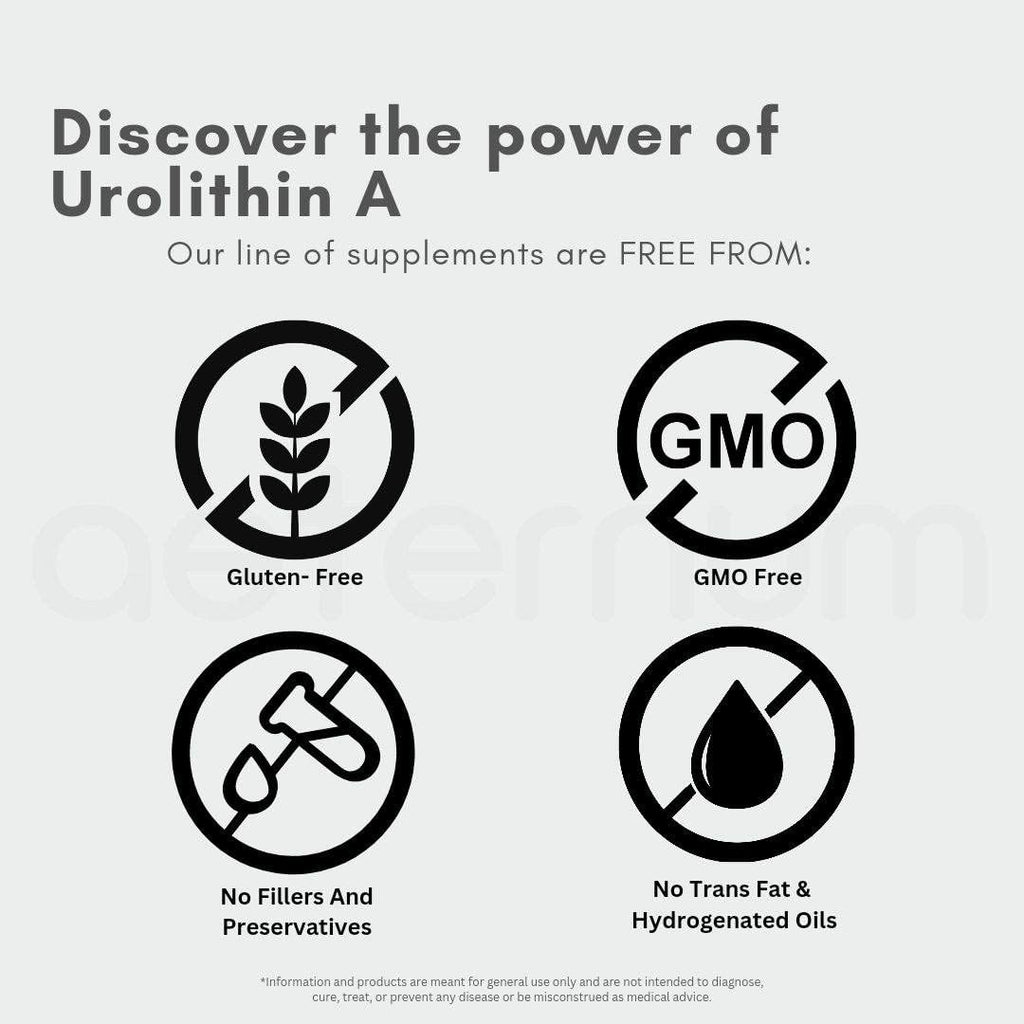 Aeternum Urolithin A UA Capsules 500mg - 180 Capsules (1000mg per Serving)