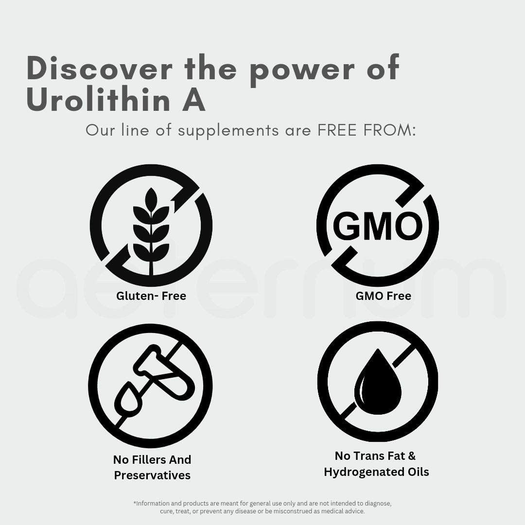 Aeternum Urolithin A UA Capsules 500mg - 180 Capsules (1000mg per Serving)