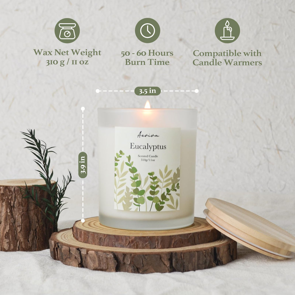 Aeviva Eucalyptus Scented Candle 11oz - 60 Hour Burn, Natural Soy Wax