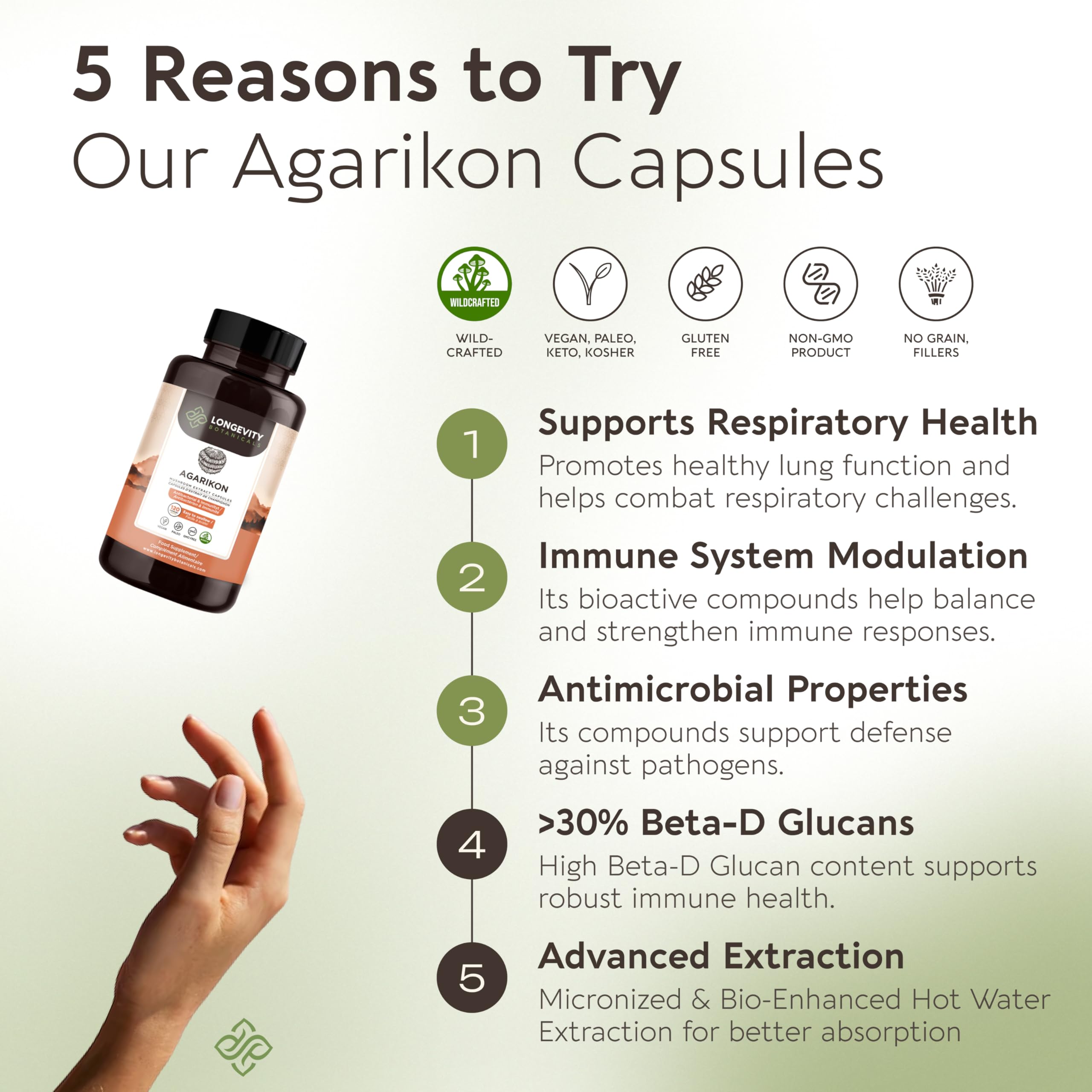 Longevity Botanicals Agarikon Mushroom Extract Capsules (120) – 10:1 Concentrate, 100% Fruiting Bodies