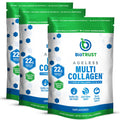 BioTrust Ageless Multi Collagen Peptides Powder – 5 Types (I, II, III, V, X) – 10g per Serving – 3-pk