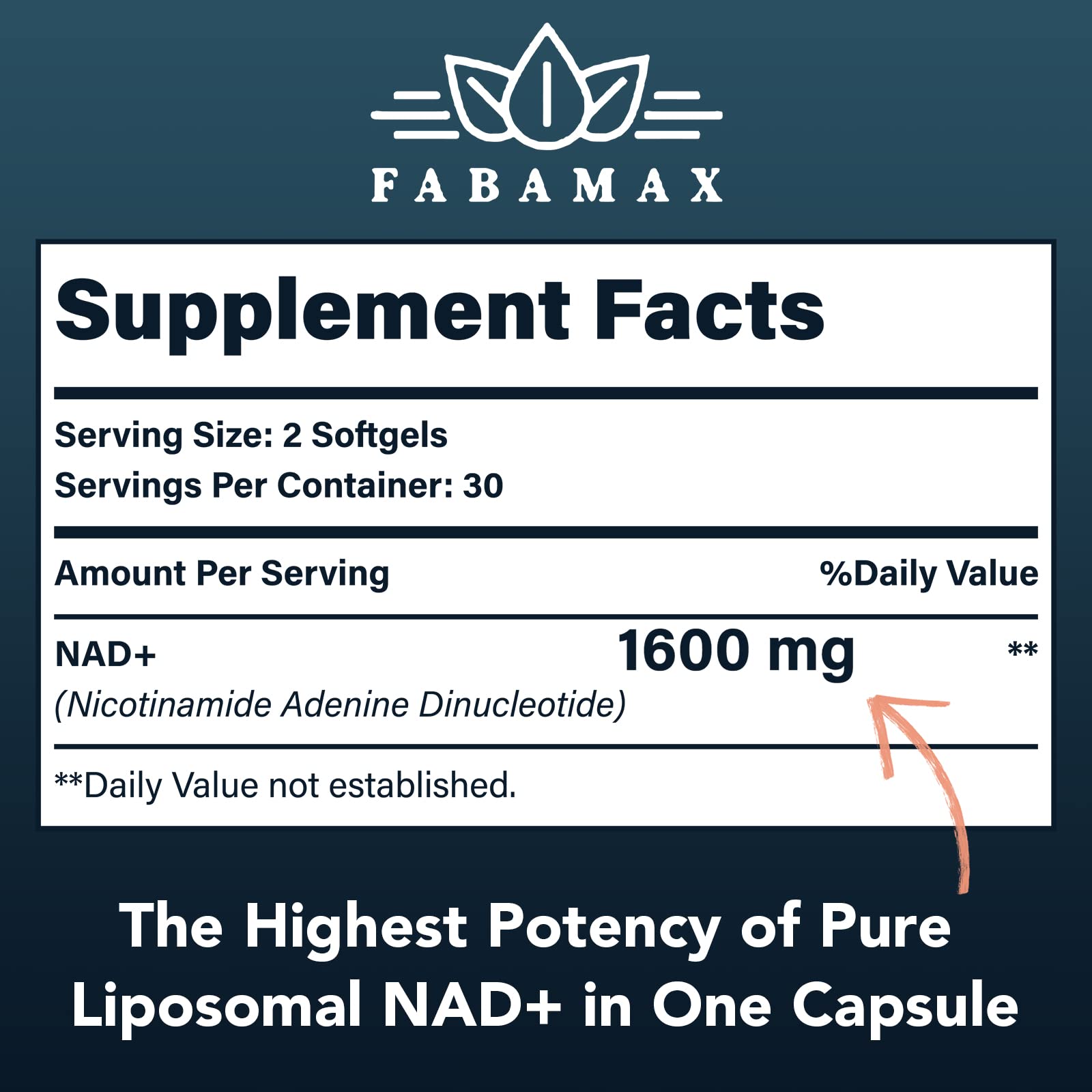 1600 mg Liposomal NAD+ Supplement – 98% Pure NAD+, Superior Absorption, 180 Softgels
