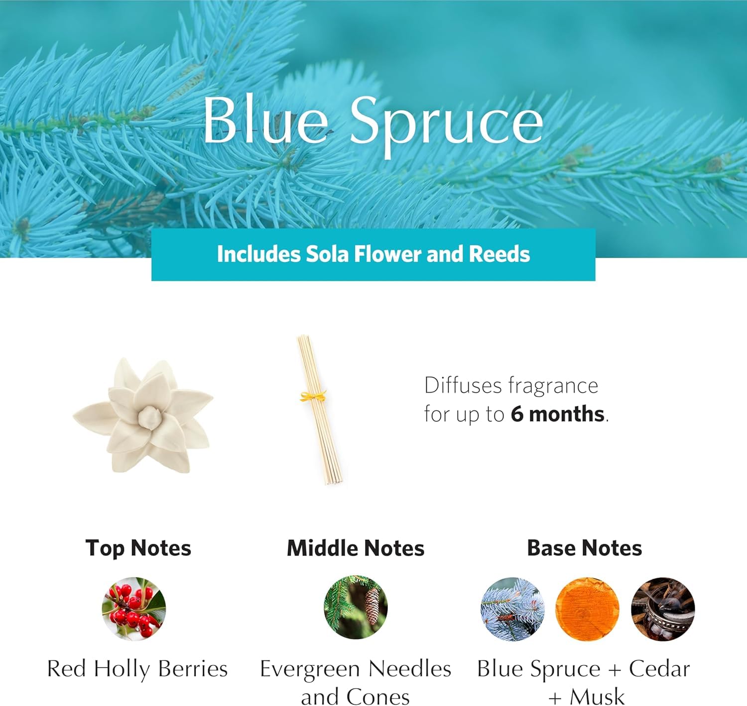 Blue Spruce Holiday PetiteEssence Diffuser, 1.7oz | Premium Room Fragrance by Agraria