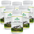 SZCZEKIN AHCC 1500 mg with 8 Mushroom Extracts – 540 Vegan Capsules