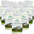 SZCZEKIN Active Hexose Correlated Compound 1500 mg - 8 Mushroom Extract Immune Support, 90 Vegan Capsules