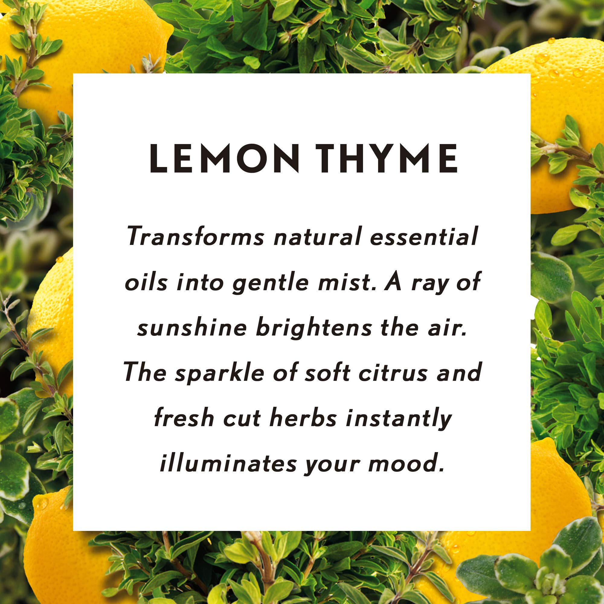 Air Wick Essential Mist Lemon Thyme Refill – 1ct | Essential Oil Diffuser