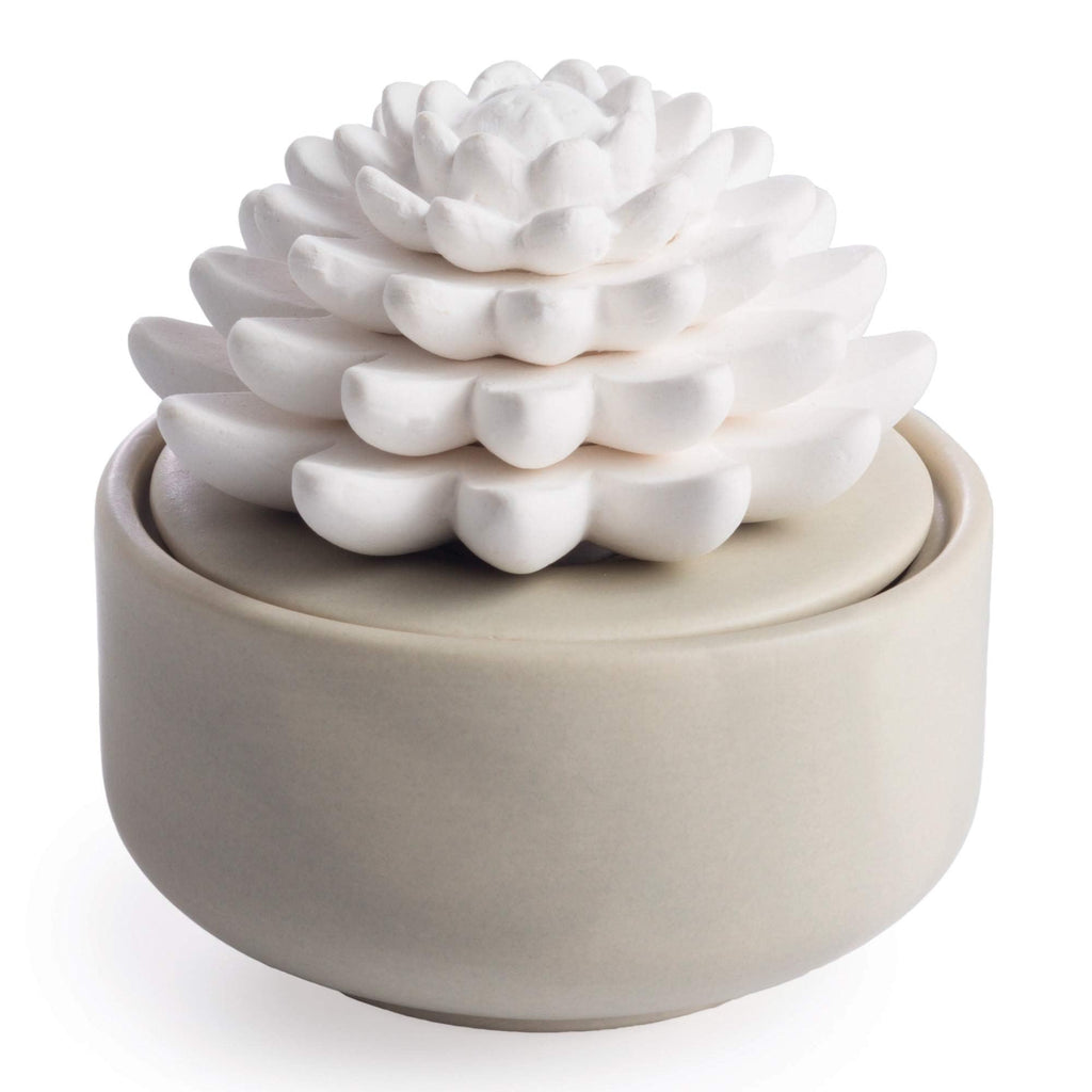 Airomé White Succulent Porcelain Passive Diffuser – Non-Electric, 15ml Peppermint Oil Included