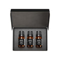 AirScent Holiday Diffuser Oil Gift Set - 3x10 mL (Bourbon Pumpkin Spice, Christmas Wreath, Fireside Spiced Cider)