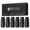 Airversa Top 6 Aromatherapy Oils Set – 6x10mL (Eucalyptus, Lavender, Lemongrass, Sweet Orange, Peppermint, Tea Tree)
