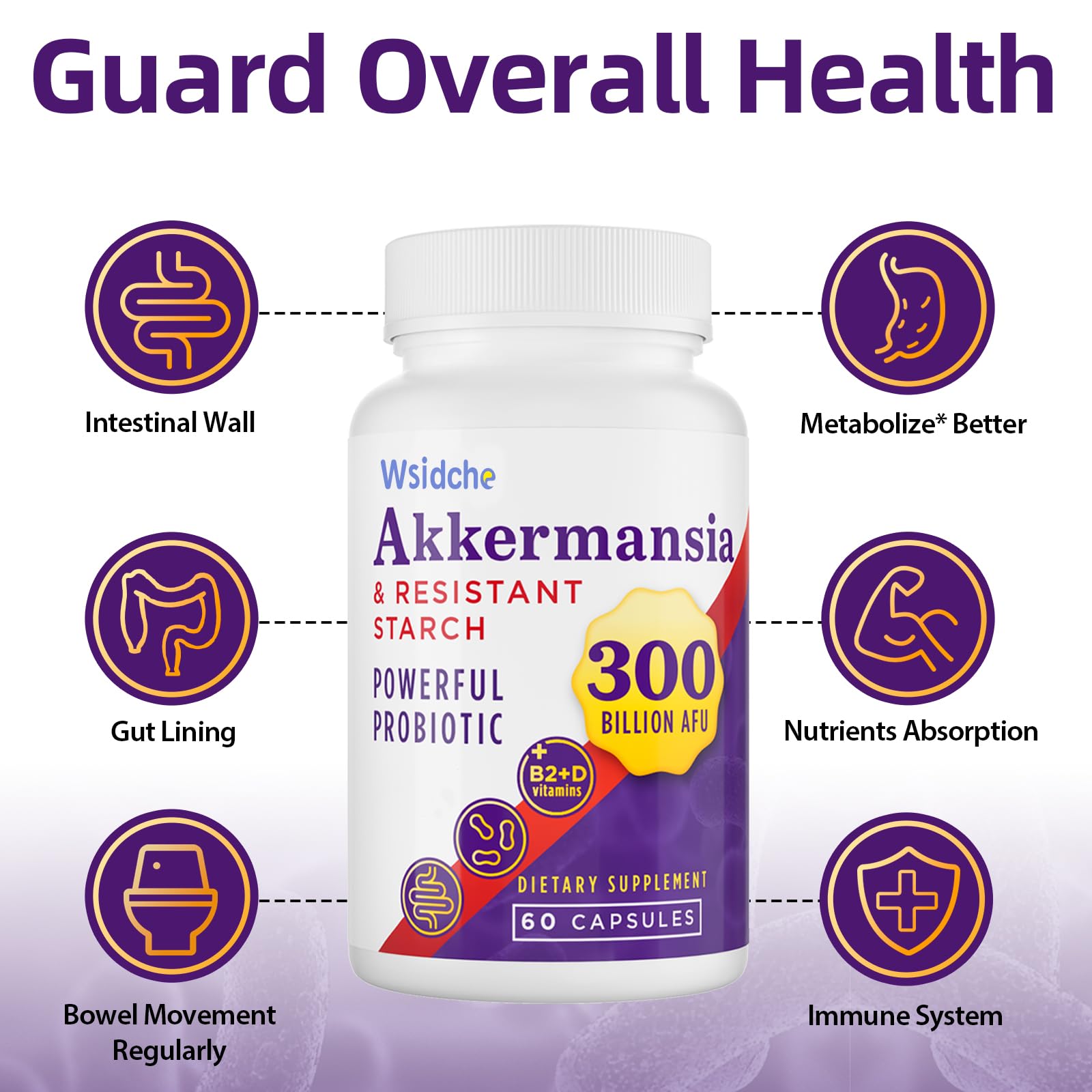 Wsidche 300 Billion AFU Akkermansia Probiotic | 3 Packs for Digestive & Gut Support