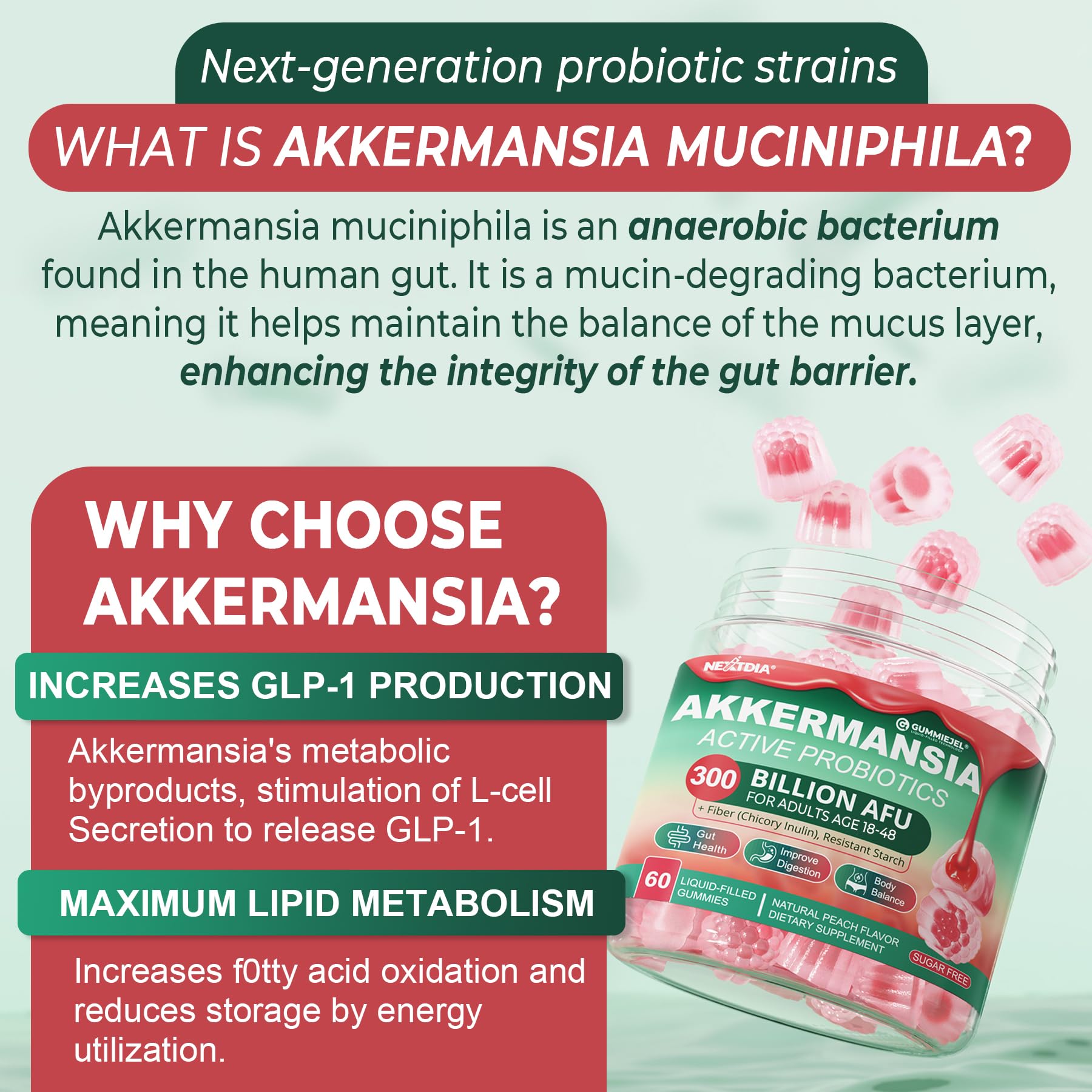 Akkermansia Probiotics Gummies with Prebiotics Fiber | 300 Billion AFU | Gut Health & Metabolism