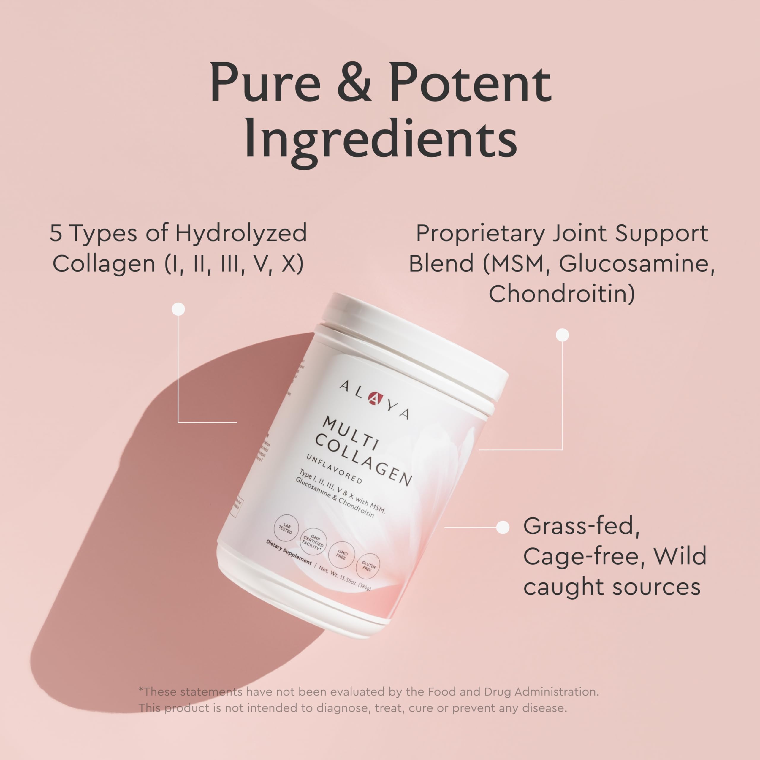 Alaya Naturals Multi Collagen Powder – Chocolate (Type I–X) with MSM & GC