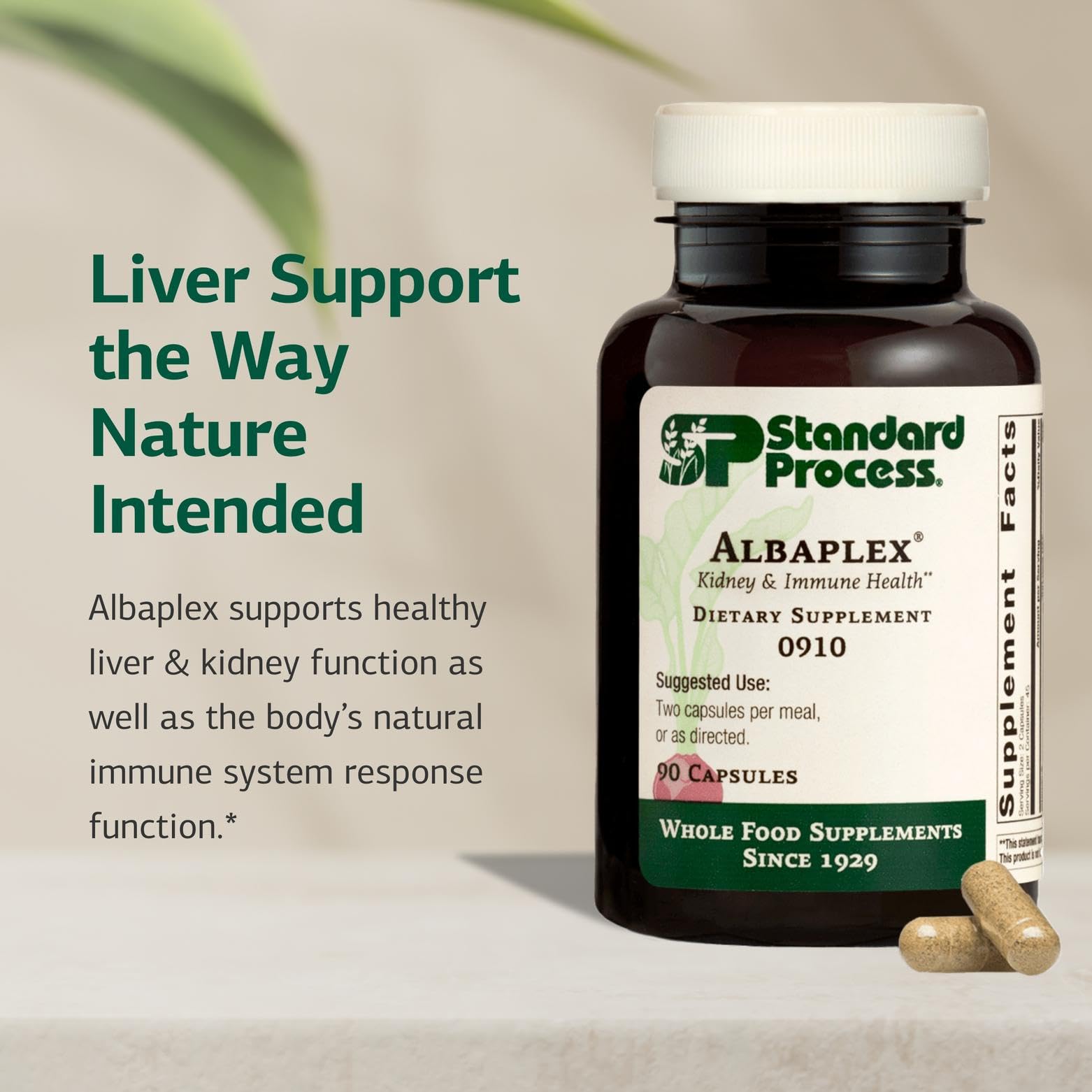 Standard Process Albaplex – Liver & Immune Health Supplement | Non-Dairy | 90 Capsules (45 Servings)