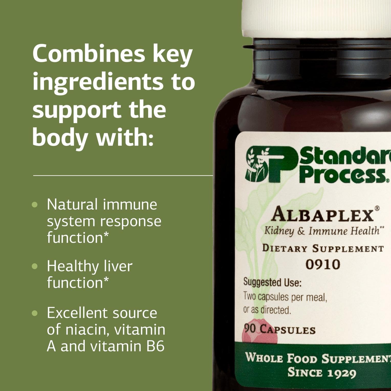 Standard Process Albaplex – Liver & Immune Health Supplement | Non-Dairy | 90 Capsules (45 Servings)