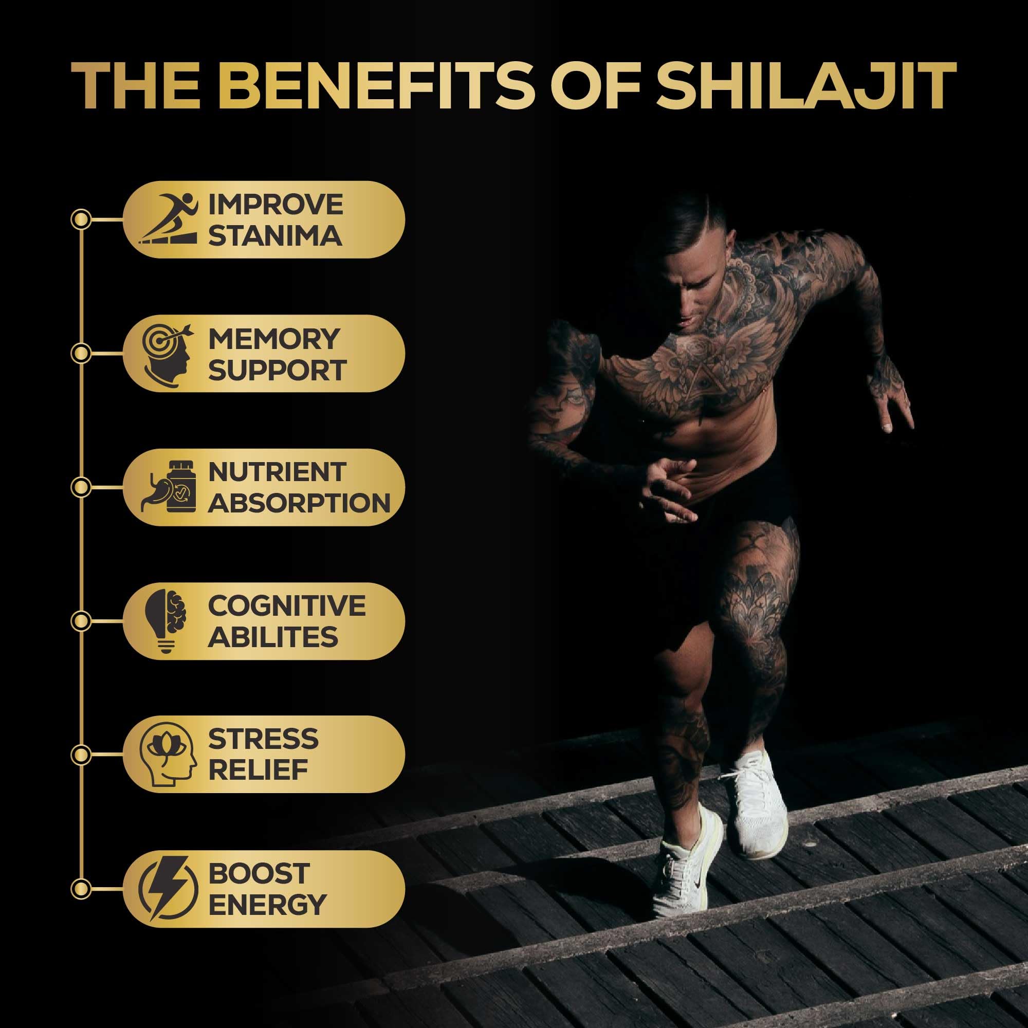 Alcami Premium Himalayan Shilajit Resin – High Potency 50g (100 Servings)