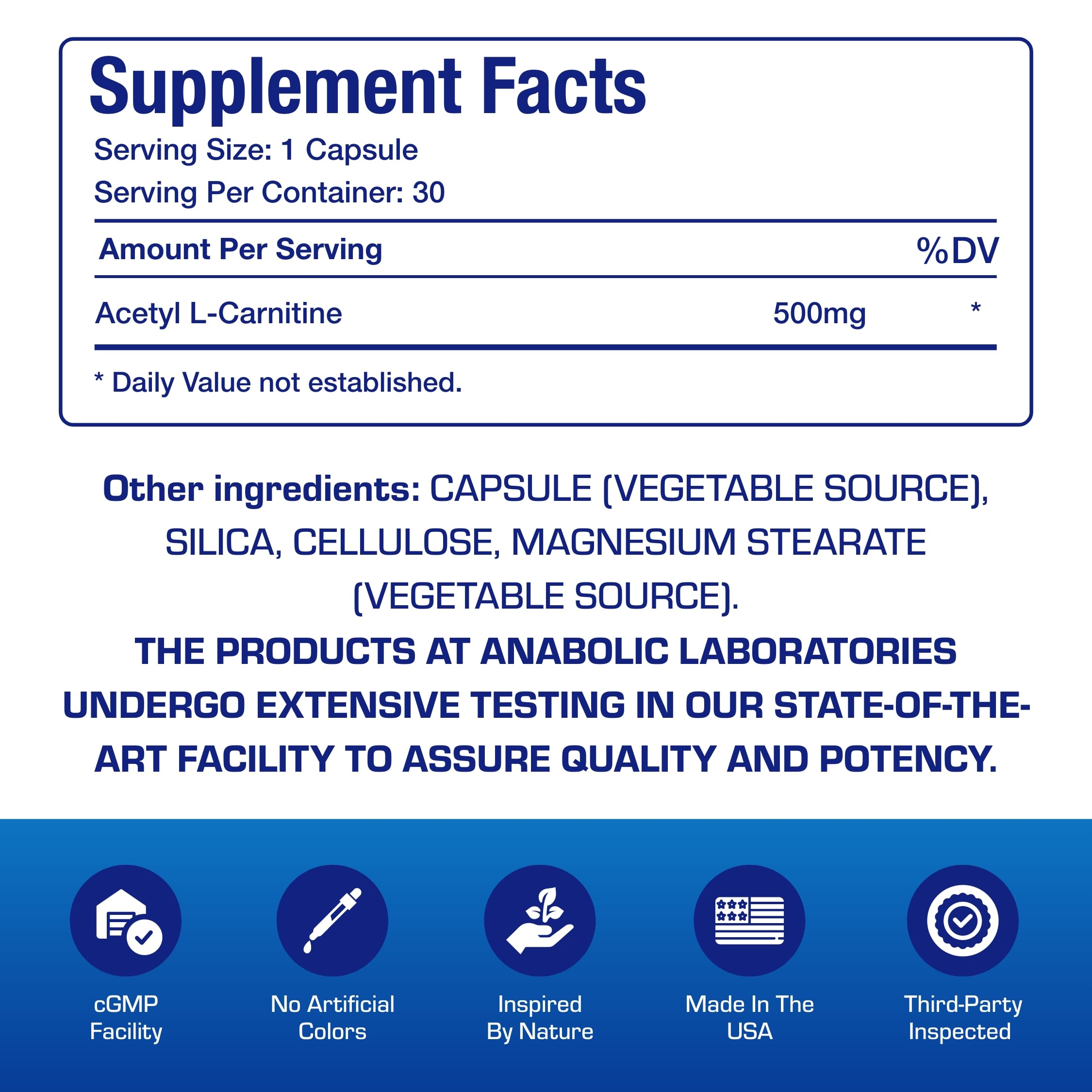 ALCAR 500mg Acetyl L-Carnitine – Brain, Nerve & Memory Support – Vegetarian, Non-GMO, Made in USA – 30 Servings