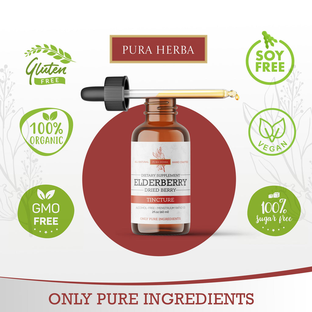 Elderberry Tincture – Organic Elderberry Extract | Immune Support | Alcohol-Free 2 fl oz
