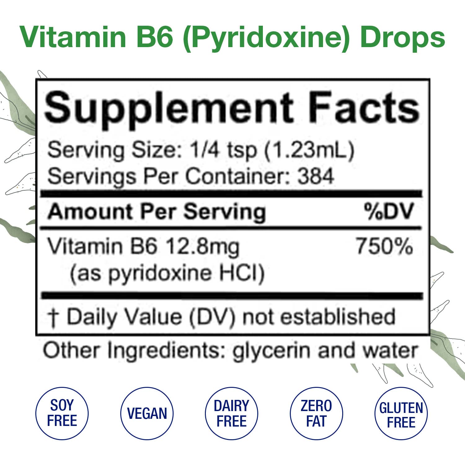Vitamin B6 Drops (Pyridoxine) – Liquid B Vitamin for Brain & Immune Support (Alcohol-Free, 16 oz)