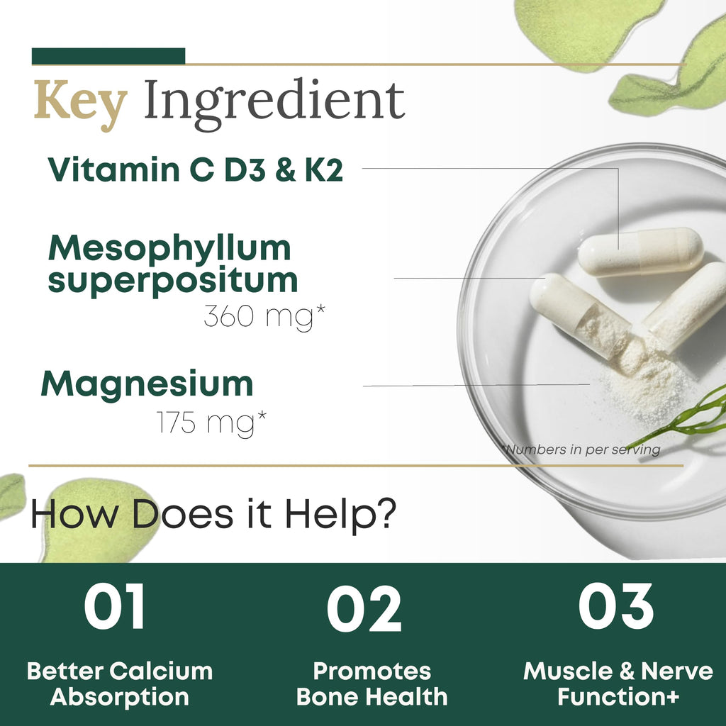 Algae Calcium with Vitamin D3 & K2 MK-7 – Magnesium-Calcium Complex, 90 Capsules