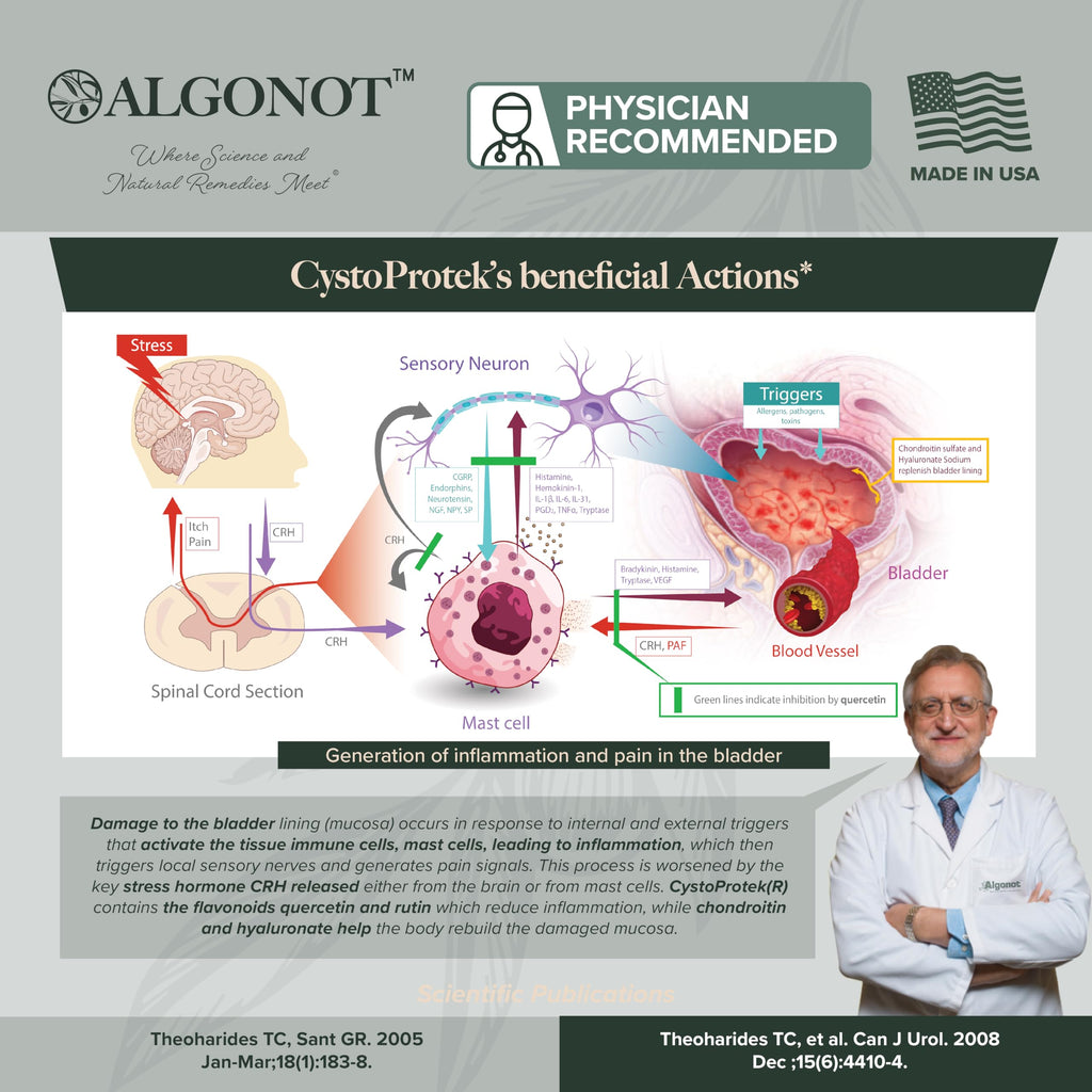 CystoProtek 1 Pack by Algonot – Patented Formula for Bladder Health