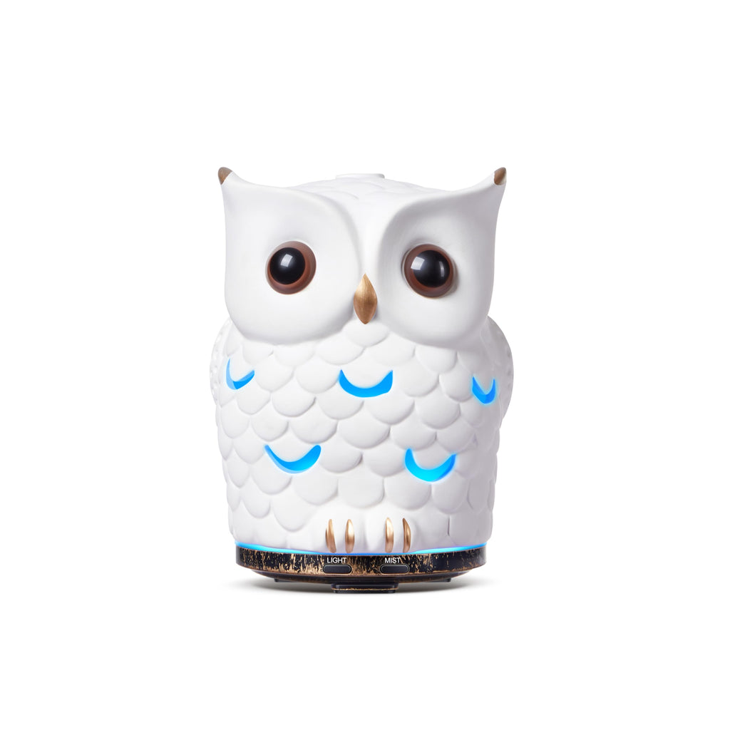 ALIEYE Owl Essential Oils Diffuser - 200ml Ceramic, Waterless Auto-Off, 7-Color LED
